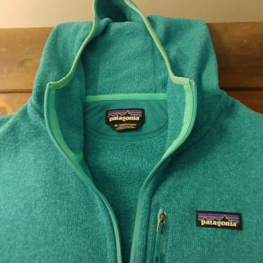 Patagonia Women's Performance Better Sweater Hoody